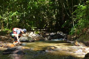 BIB: 
                            <button type="button" onclick="openModal(21853310)" class="btn btn-primary btn-sm float-right btn-popup" data-toggle="modal" data-target=".modal-high-quality">
                        <i class="fas fa-shopping-cart"></i> Add to Cart
                    </button>
                                            <button type="button" onclick="isThisMe(21853310, true)" class="btn btn-success btn-sm float-right btn-popup btn-isme hidden" data-toggle="tooltip" data-placement="bottom" title="นี่คือรูปของคุณใช่ไหม คลิกที่นี่เพื่อเอาเข้าอัลบั้ม">
                        <i class="fas fa-plus"></i> Add to album
                    </button>
                    <button type="button" onclick="isThisMe(21853310, false)" class="btn btn-warning btn-sm float-right btn-popup btn-isnotme hidden">
                        <i class="fas fa-ban"></i> Remove from album
                    </button>